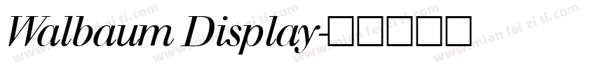 Walbaum Display字体转换